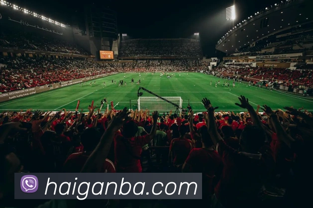 nba投注网站发展历程